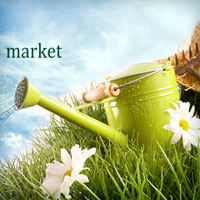 Шапка-баннер для сайта greenbelt-market.ru