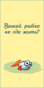 Gif баннер, рекламирующий изготовление аквариумов